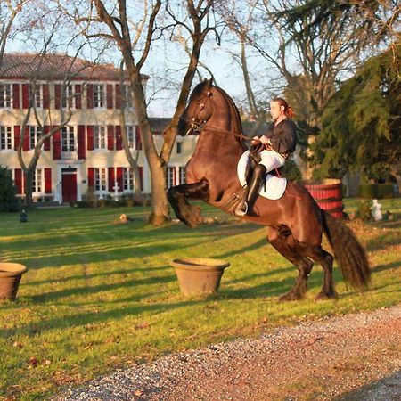 Le Relais Du Silence Chateau Lavail Labastide-d'Anjou Bagian luar foto