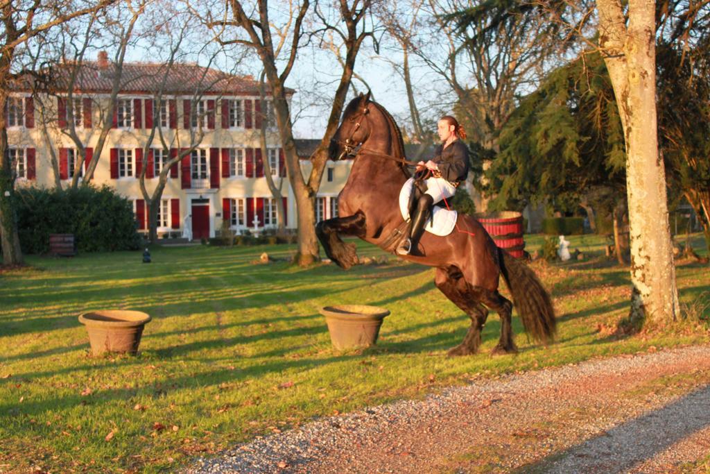 Le Relais Du Silence Chateau Lavail Labastide-d'Anjou Bagian luar foto